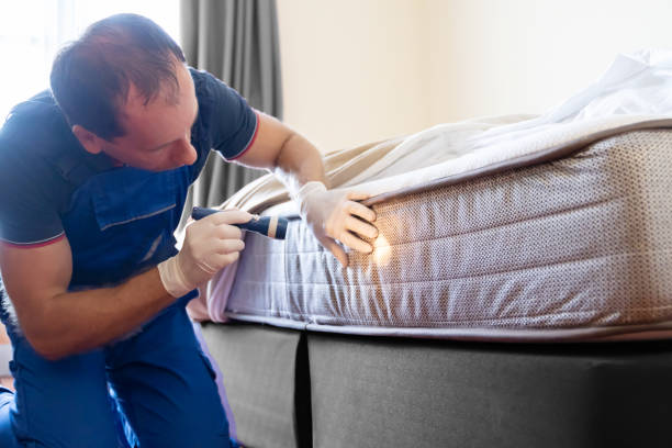 Best Bed Bug Extermination  in Eastwood, LA